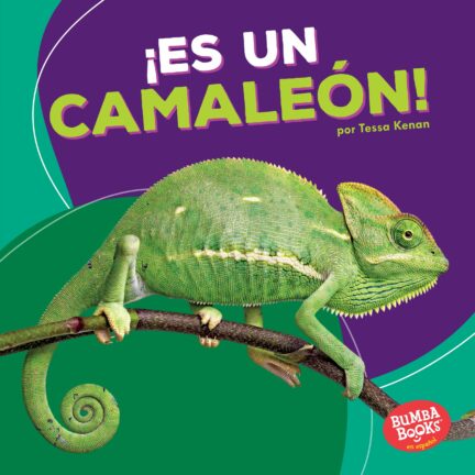 ¡Es un Camaleón!