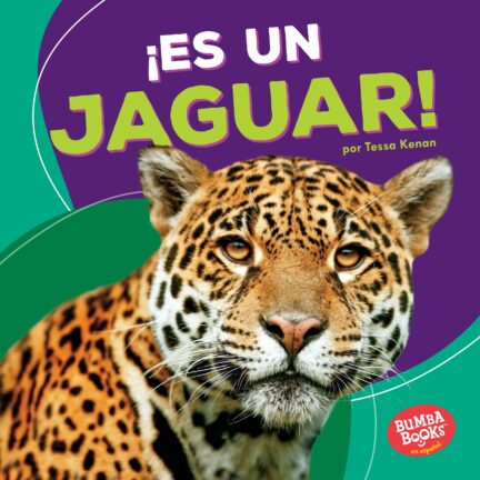 ¡Es un Jaguar!