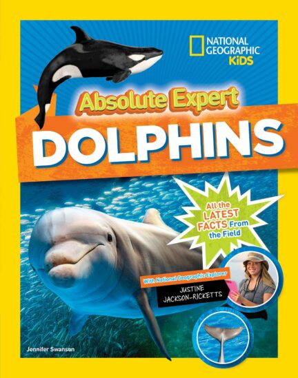 Absolute Expert - Dolphins