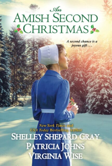 An Amish Second Christmas