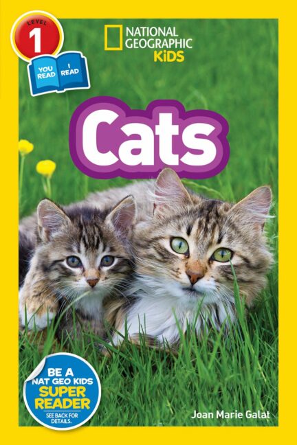 Cats
