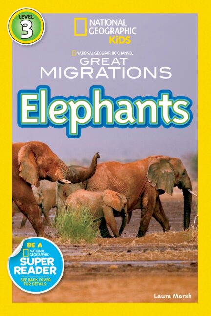 Elephants Great Migrations