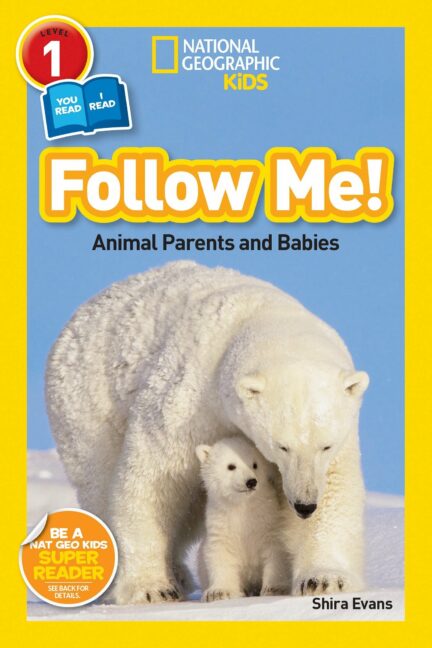 Follow Me! Animal Parents and Babies