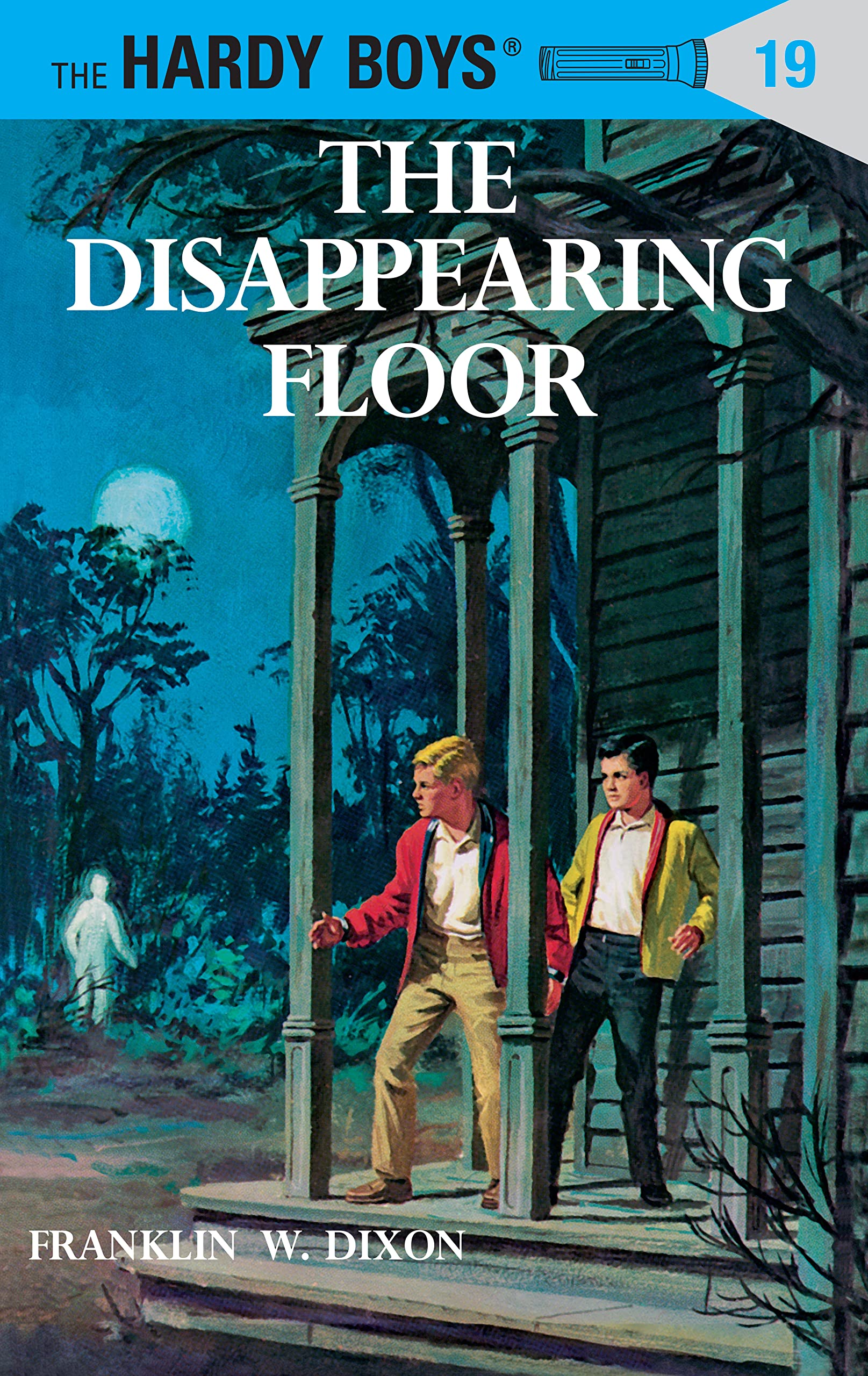 The Disappearing Floor Book 19