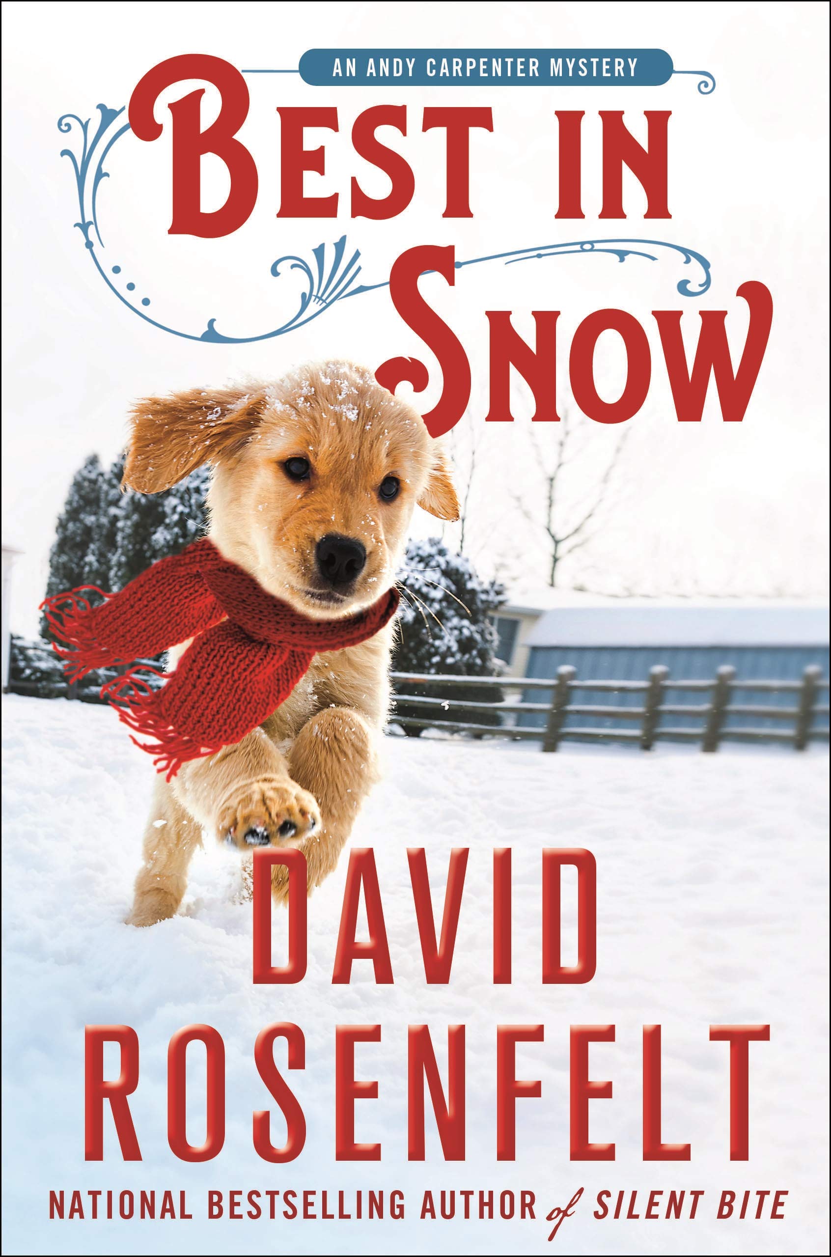 Best In Snow: An Andy Carpenter Mystery Book 24 | Green Valley Book Fair