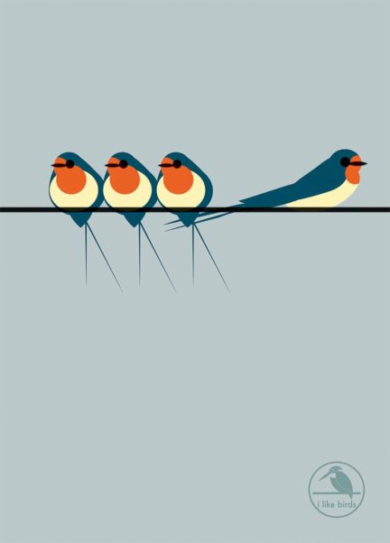 I Like Birds: Swallows on a Line Hardback Notebook Diary