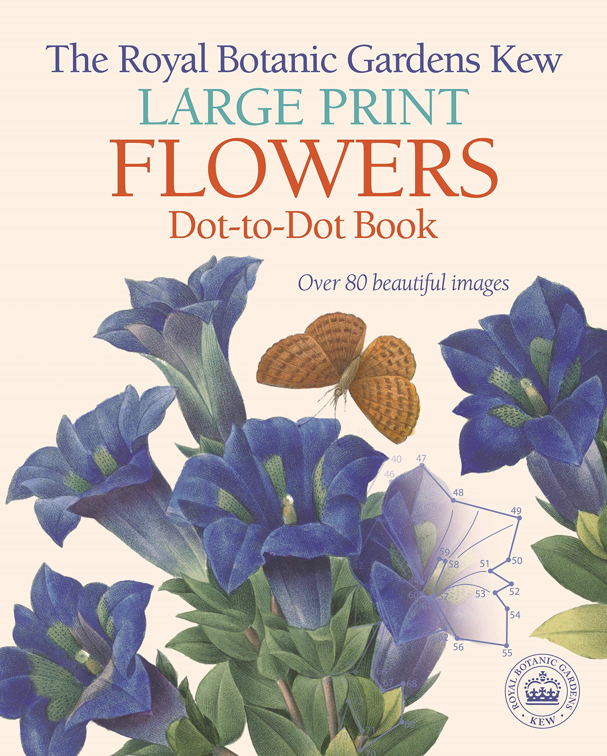 Large Print Flowers Dot-to-Dot Book
