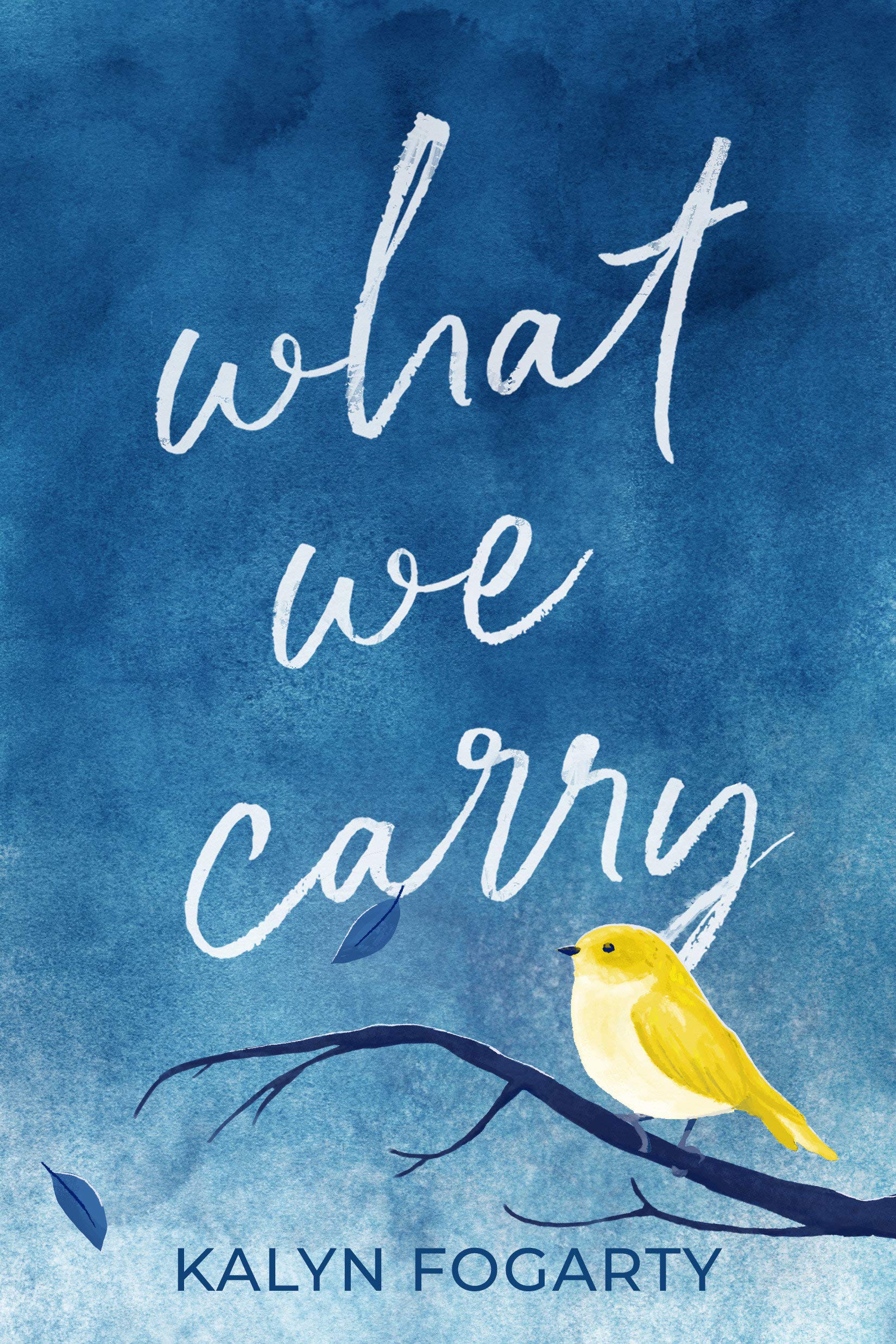 What we carry green valley book fair