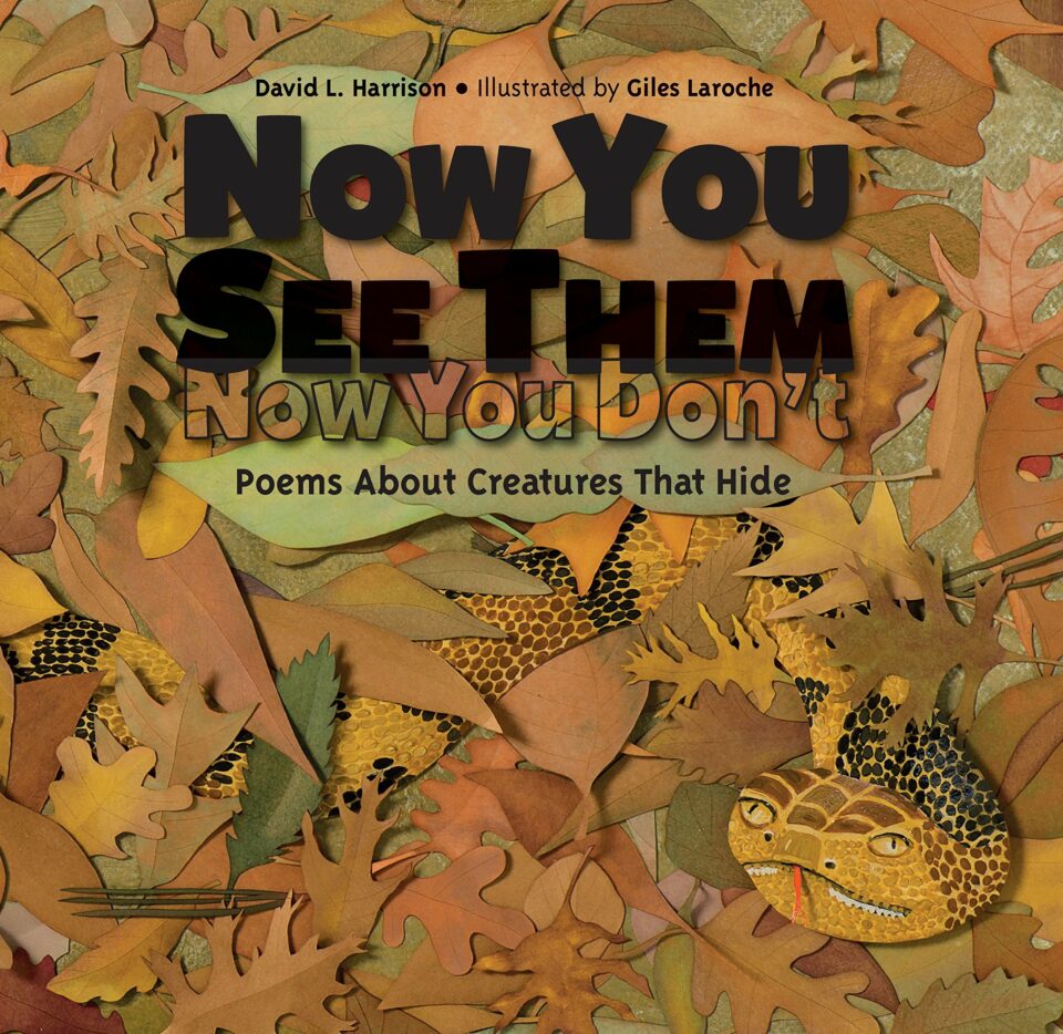 Now You See Me Now You Don't