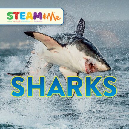 Sharks: STEAM & Me
