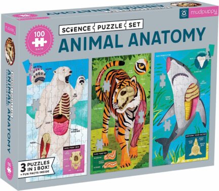 Animal Anatomy 3 100 Piece Puzzles