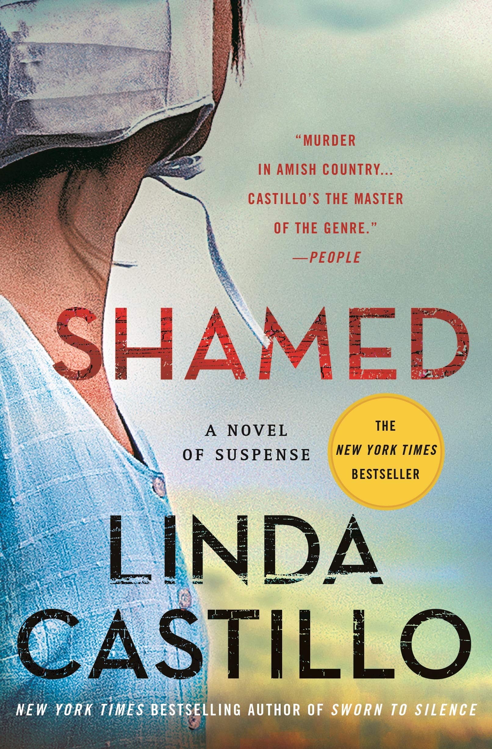 Shamed Book 11