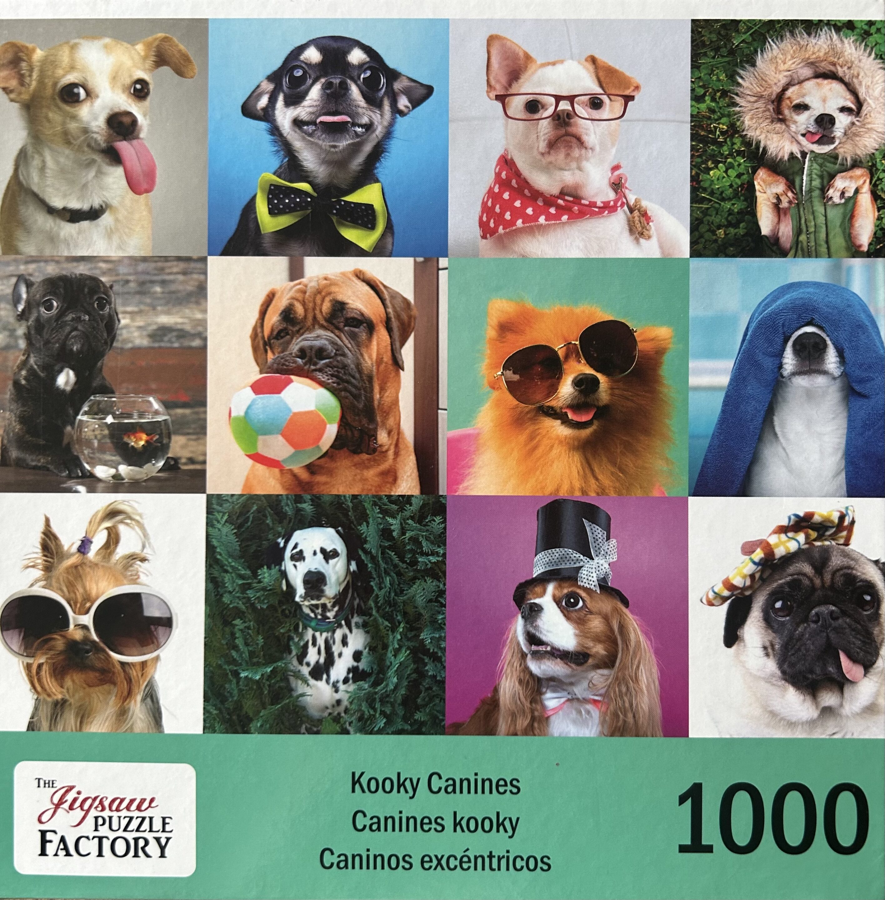 SunsOut Conservatory Garden Canines 1000 Piece Jigsaw Puzzle By Karen Burke