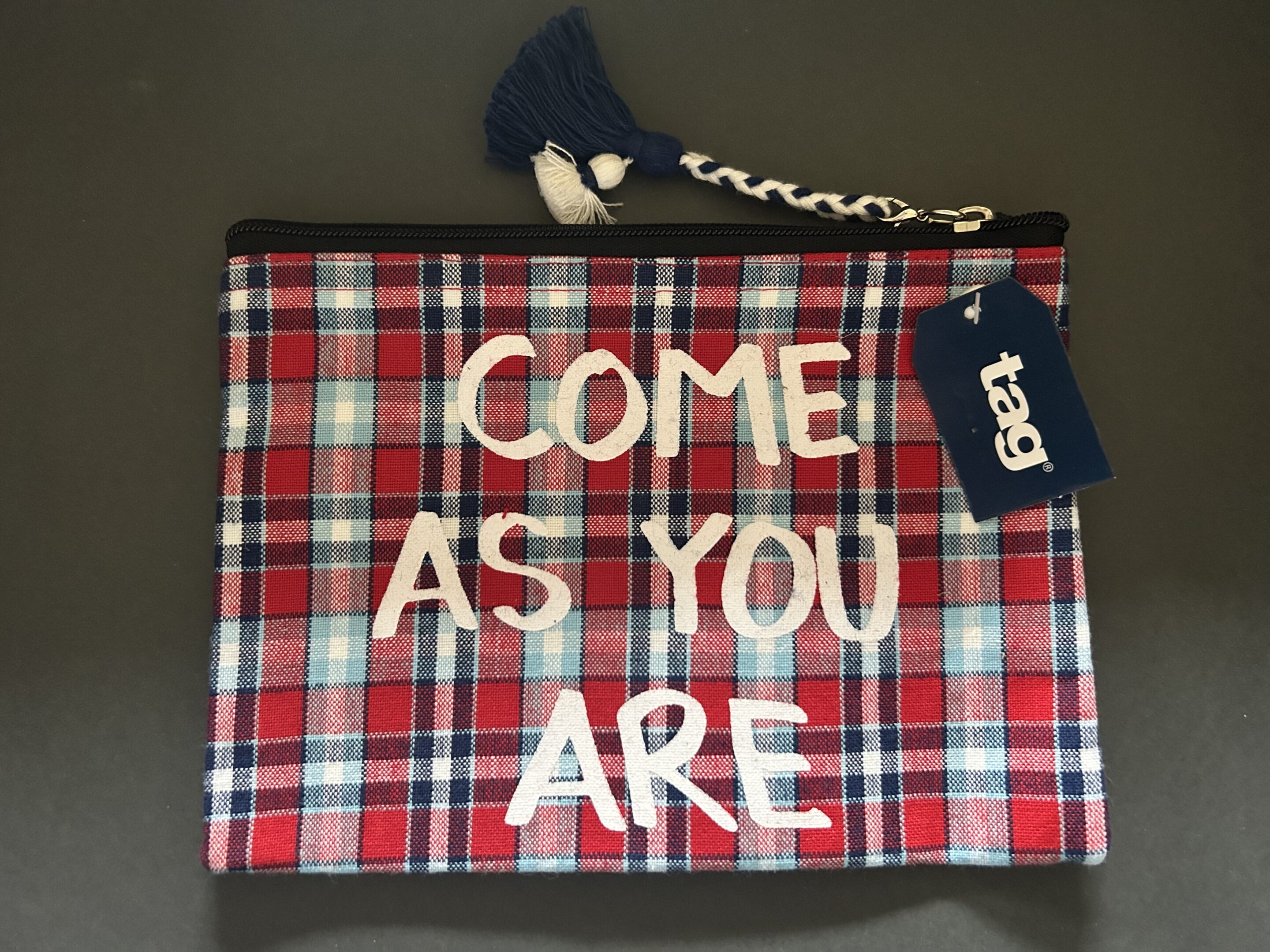Come As You Are Plaid Zipper Pouch