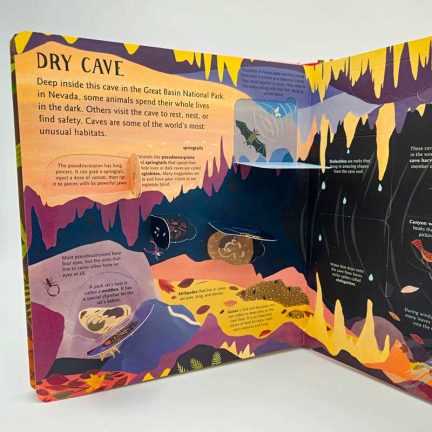 Lift-the-flap book Hidden Habitats: Earth by Camilla de la Bedoyere