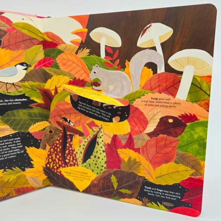 Lift-the-flap book Hidden Habitats: Earth by Camilla de la Bedoyere