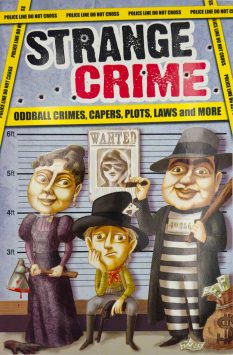 Book cover for Strange Crime