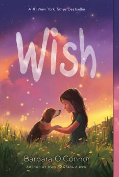 Book cover for Wish by Barbara O'Connor