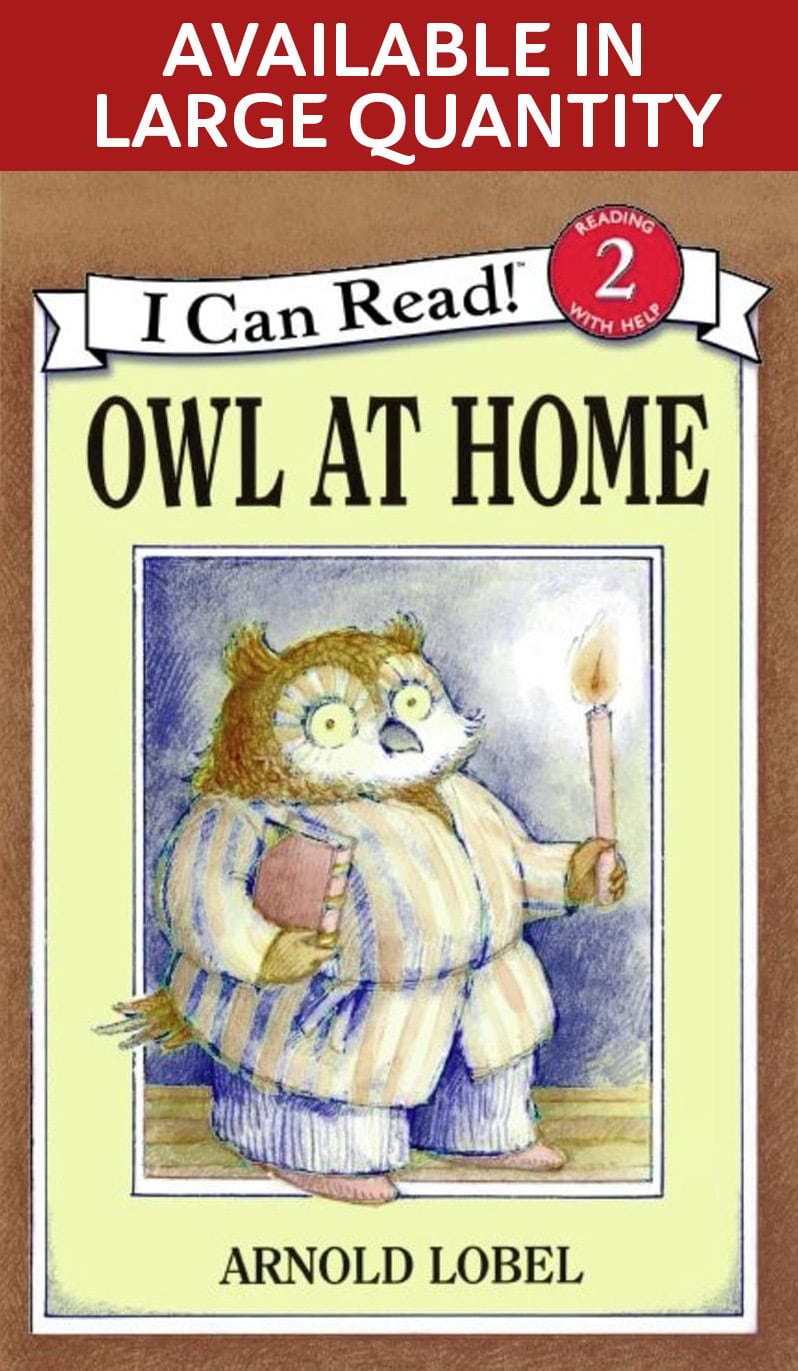 Owl at Home