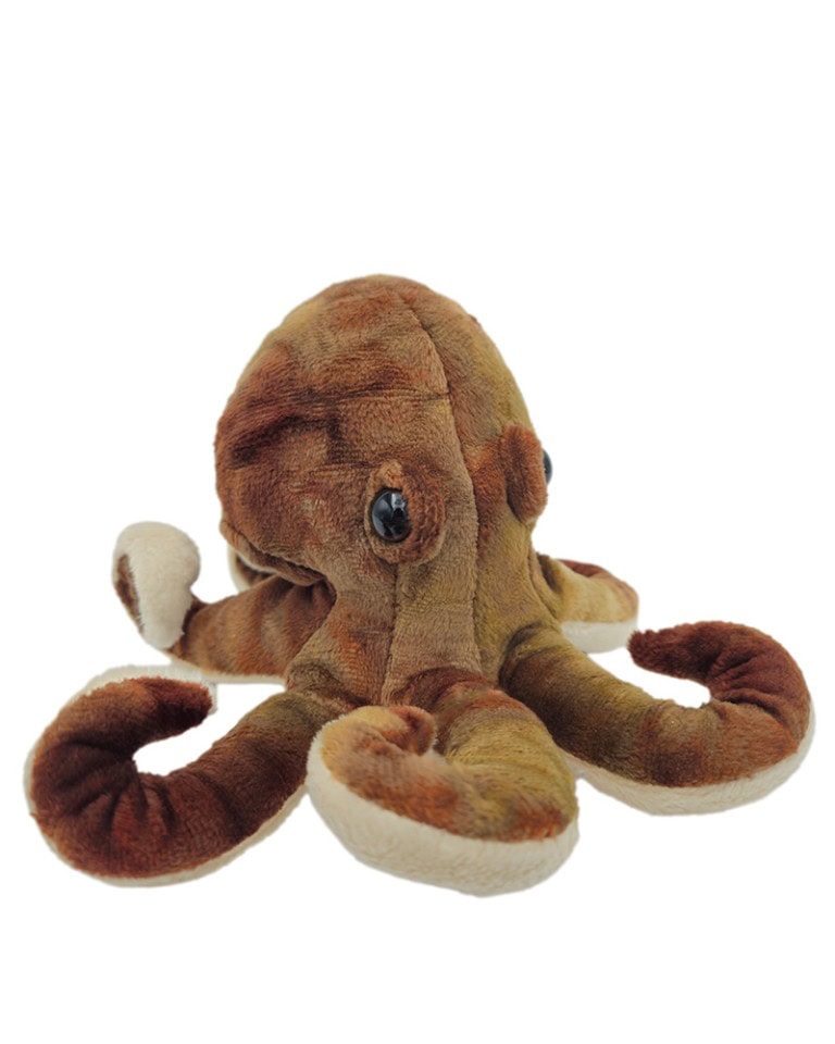 Sea Critters Octopus 8″ Plush | Green Valley Book Fair
