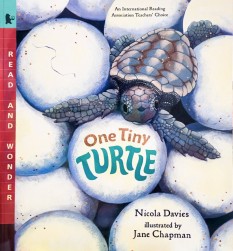 One Tiny Turtle