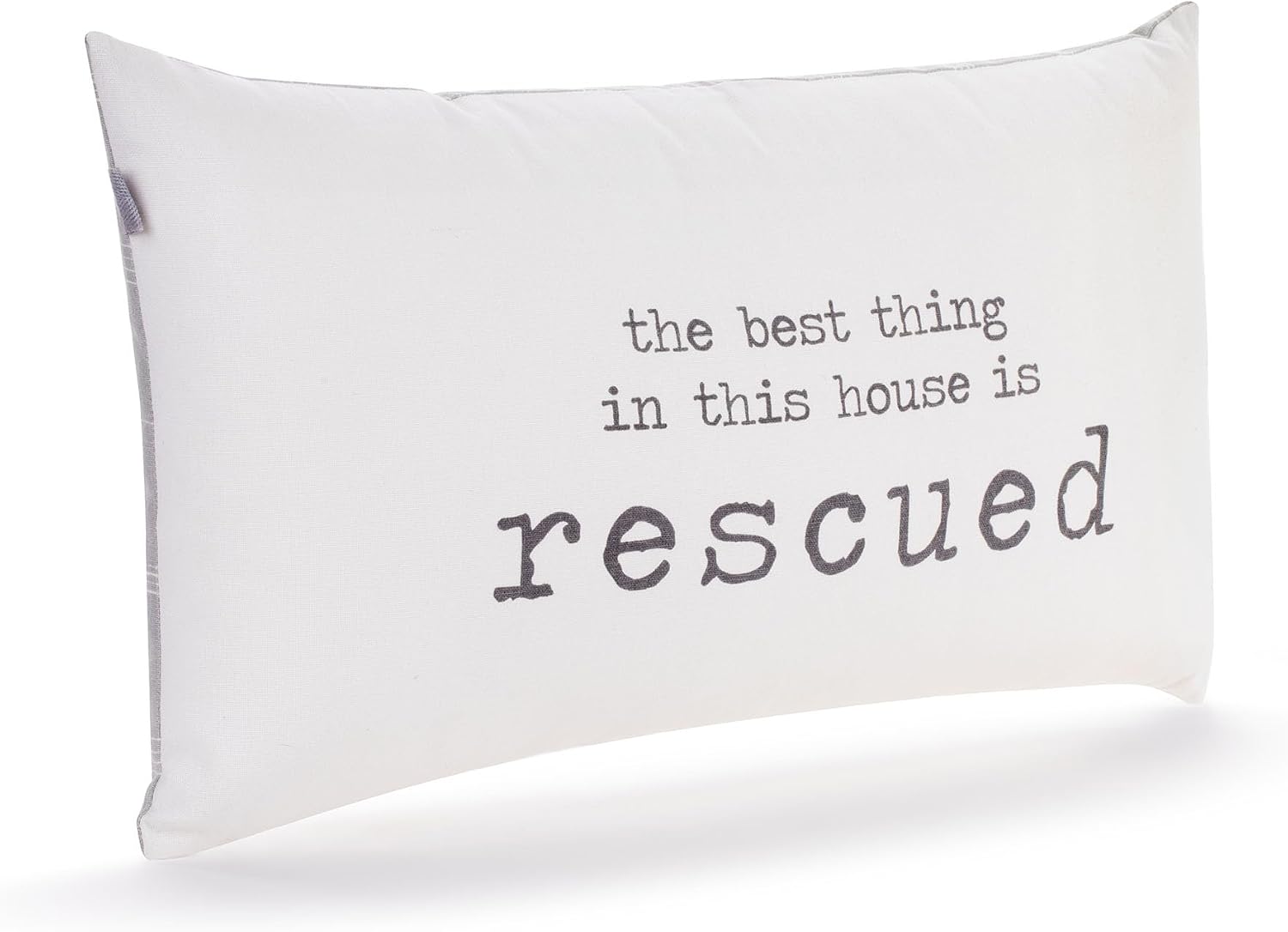 The Best Thing in This House is Rescued Pillow