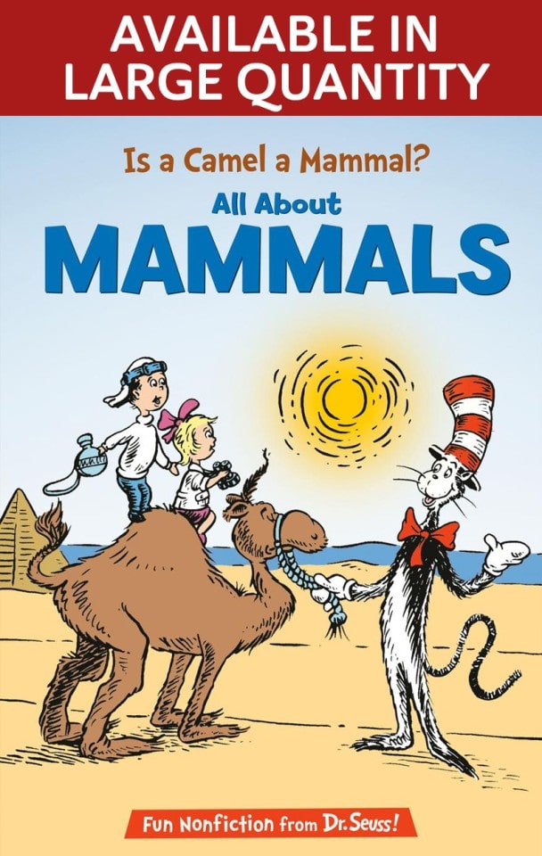 Is a Camel a Mammal? All About Mammals